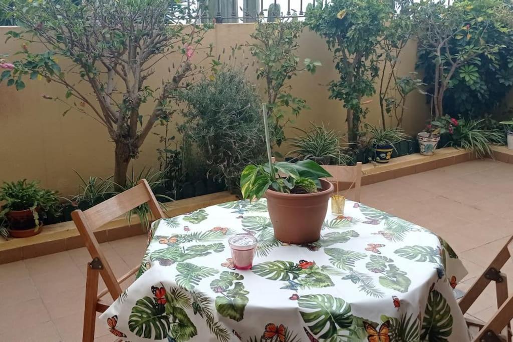 サウサルCasa El Sentirアパートメント エクステリア 写真